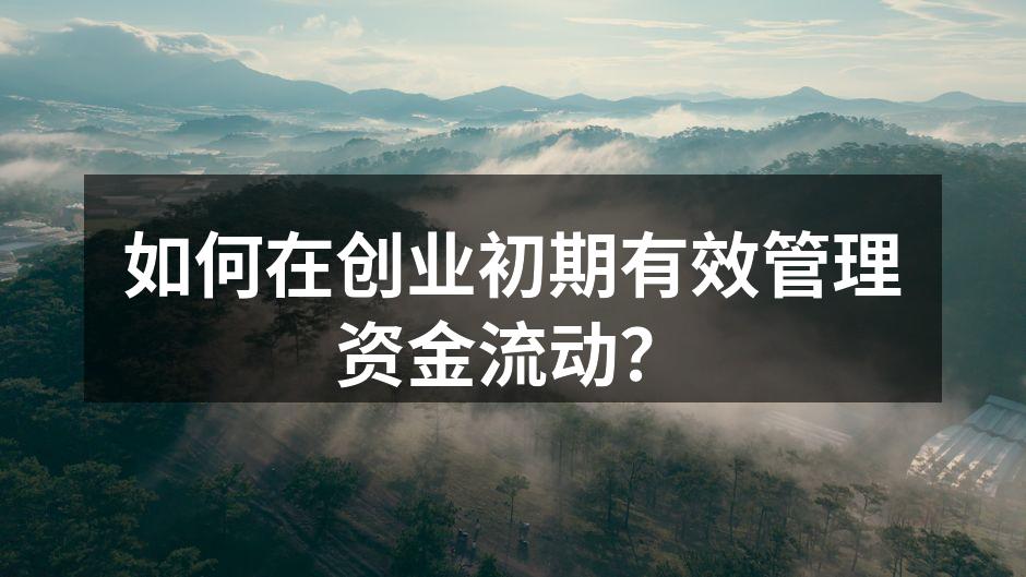 如何在创业初期有效管理资金流动？